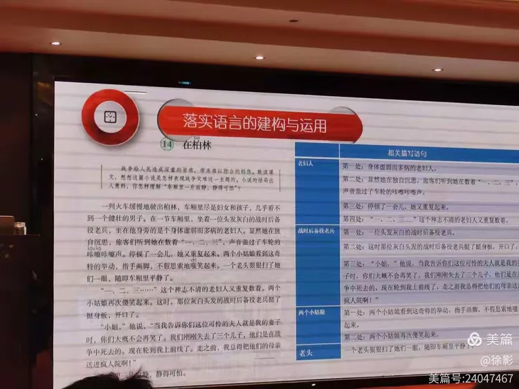 仰看牵牛打一最佳生肖,警惕虚假宣传落实,前沿解答解释落实