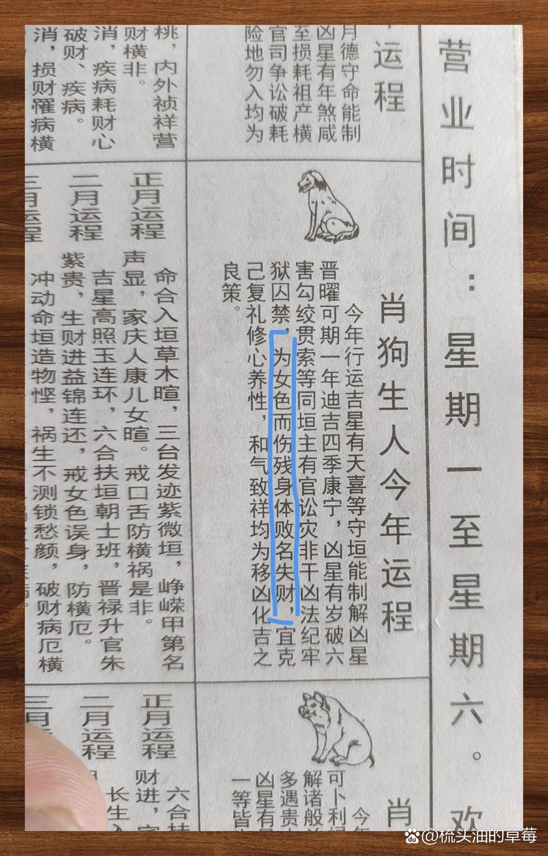 三前五后退三步四走六无来找开门放狗七与八原文解一肖请全面2释义、解释与落实、构建解答解释落实