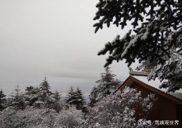 天降祥瑞小雪飘,一亩良田四十颗指是猜一最佳准确生肖，详细解答、构建解答解释落实